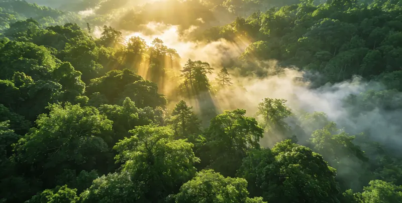 衡阳肺癌（EGFR T790M)突变检测图片1