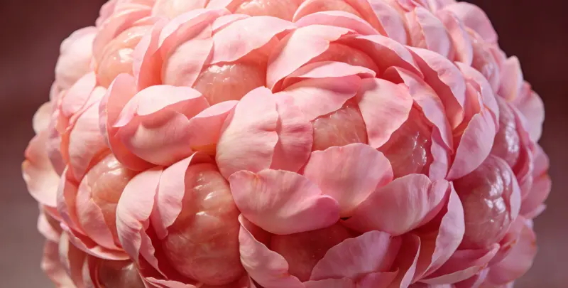 衡阳BRCA1/2乳腺癌卵巢癌基因检测图片1